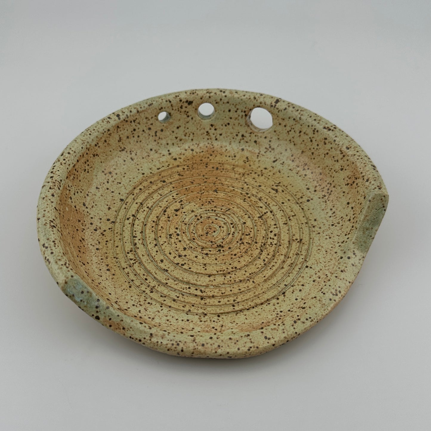 3-in-1 Dish