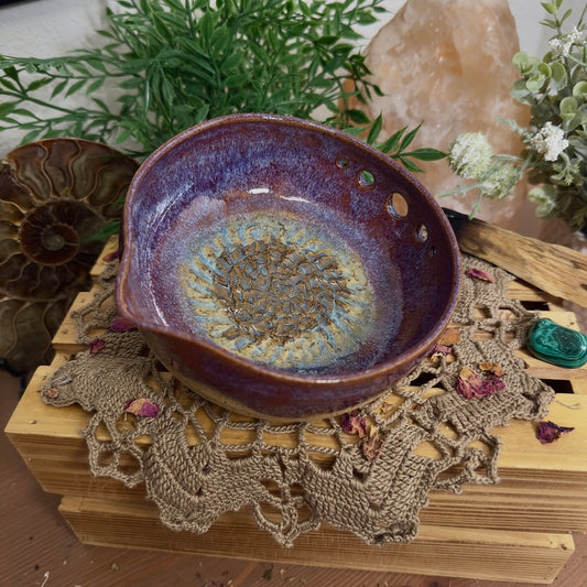 Nova - 3 in 1 bowl (1)