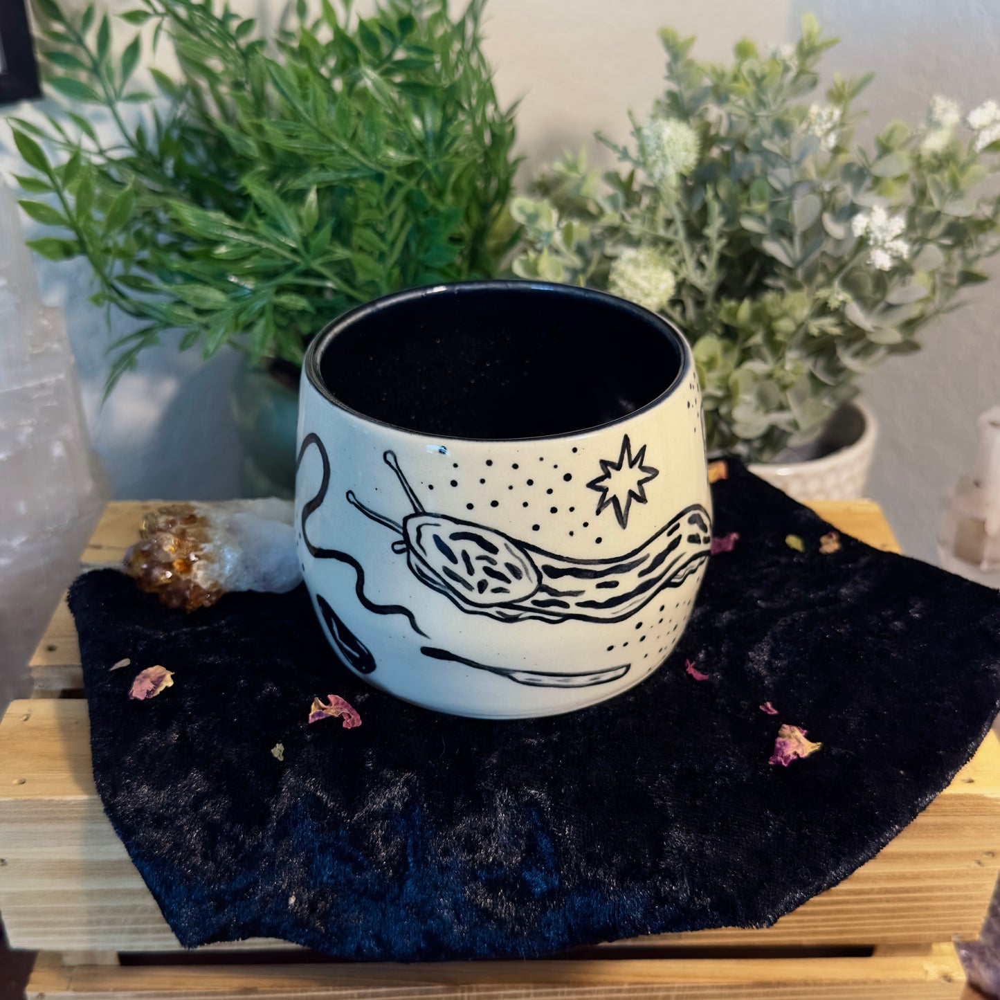 Slow and Steady - bowl