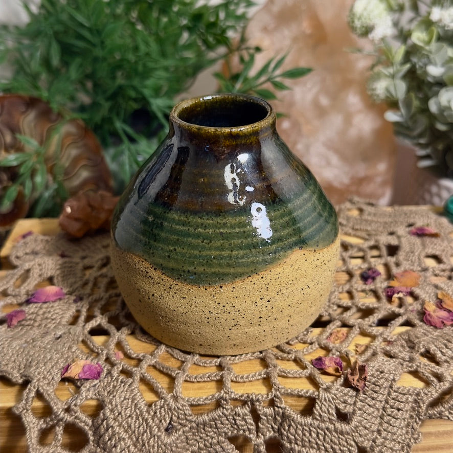 Glossy Pine - bud vase