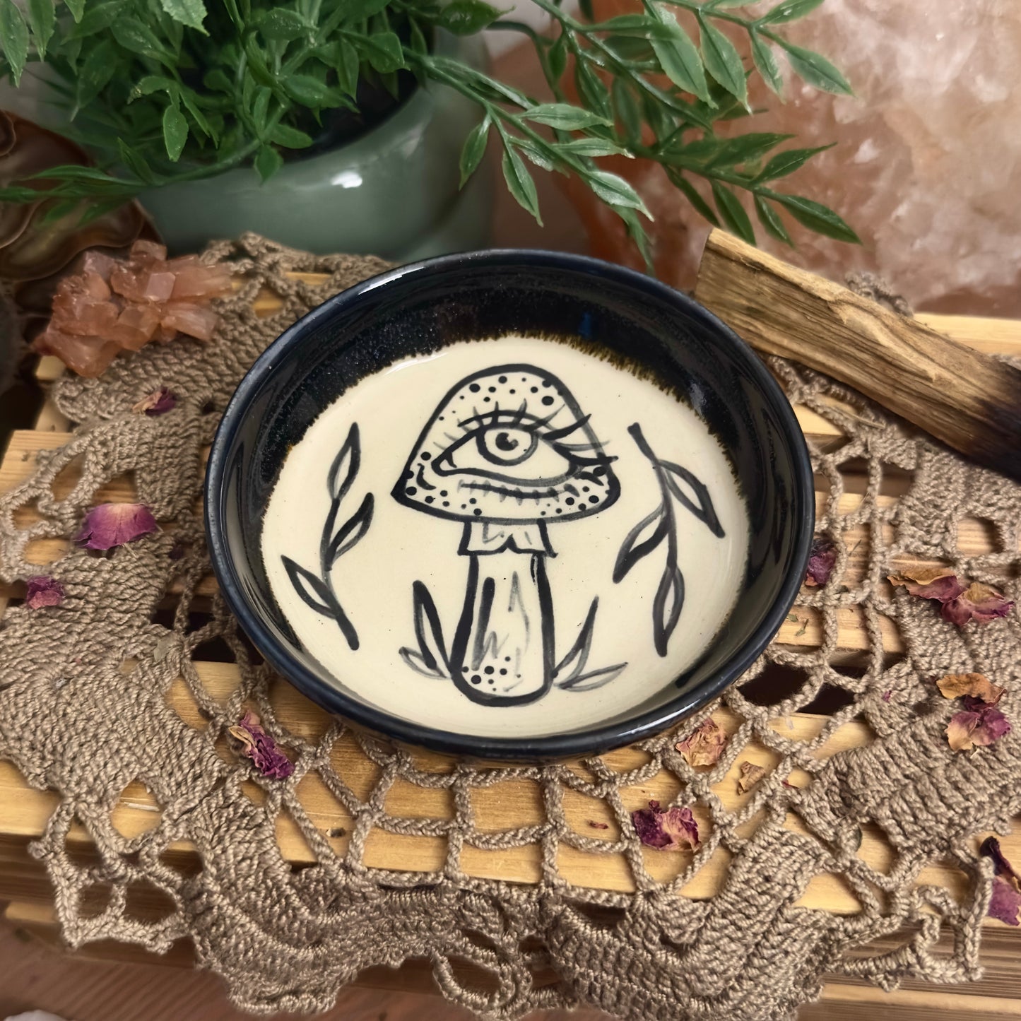 Mushy Vision - dish