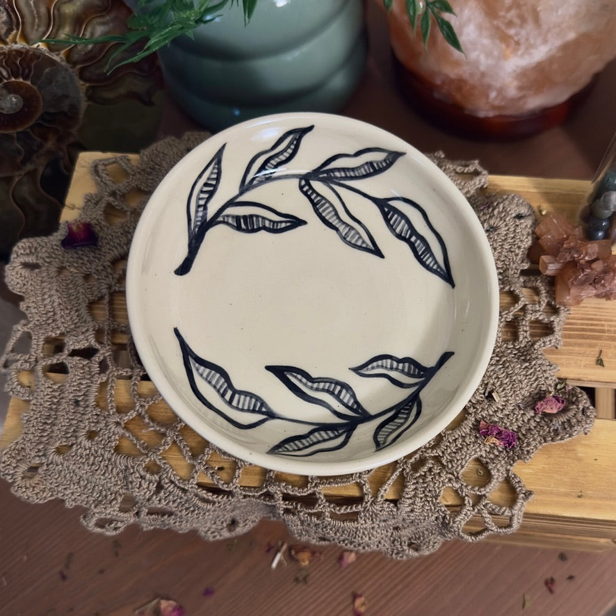 Flow & Grow dish