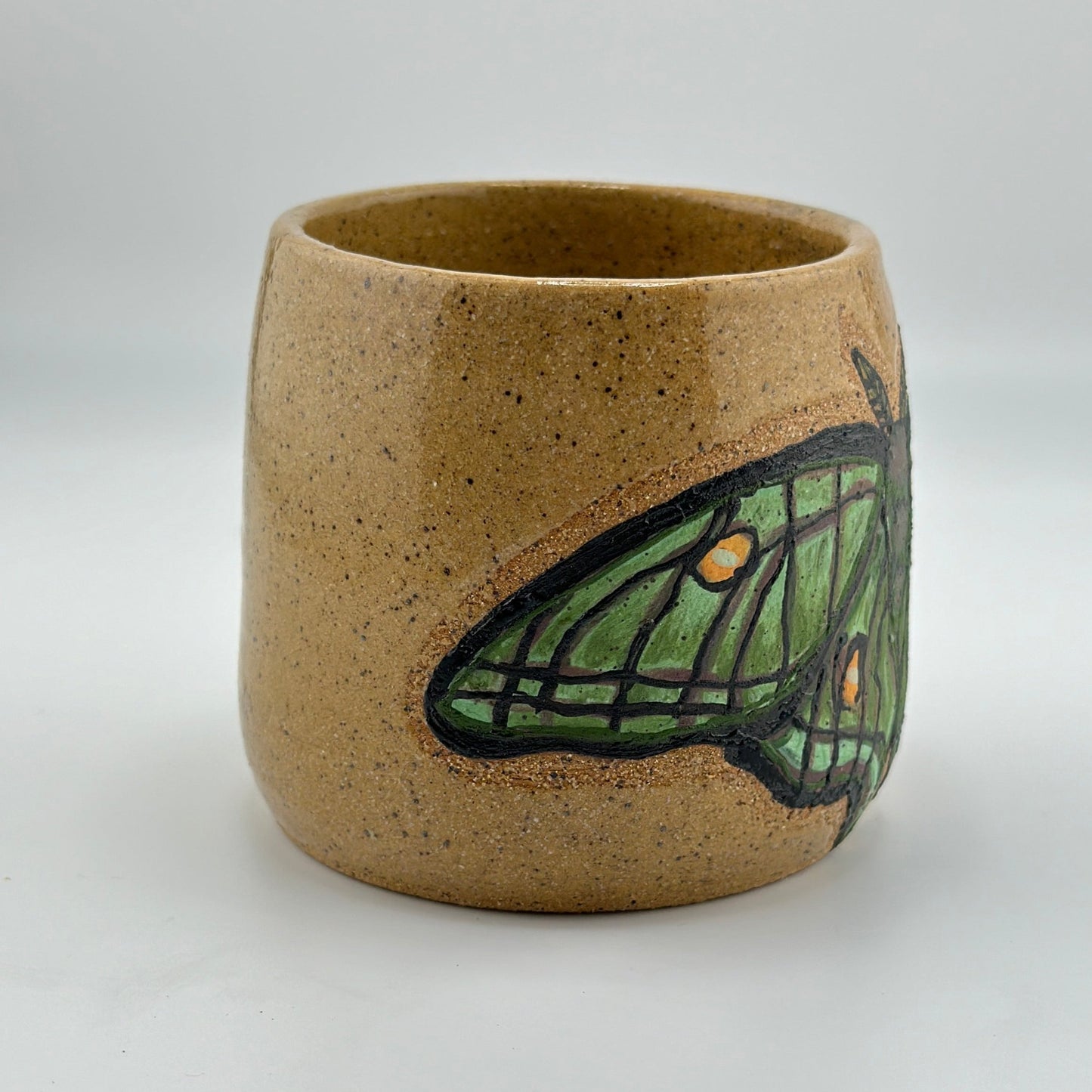 "Moth Planter"