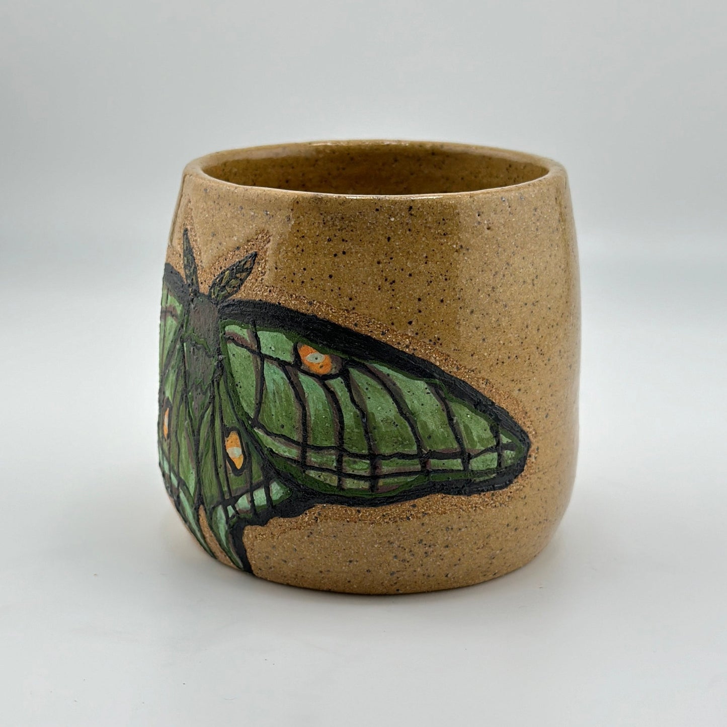 "Moth Planter"