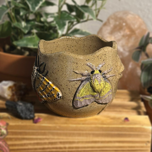 Moth Etherling