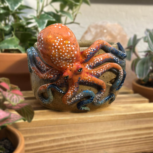 Octopus Etherling
