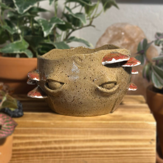 Reishi Myco Etherling