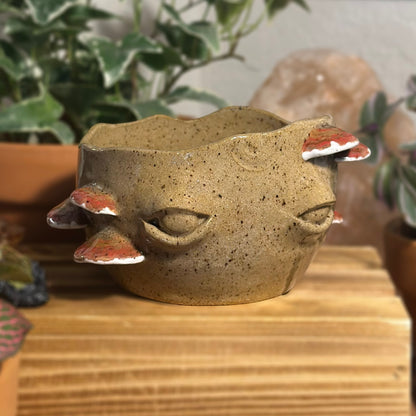 Reishi Myco Etherling