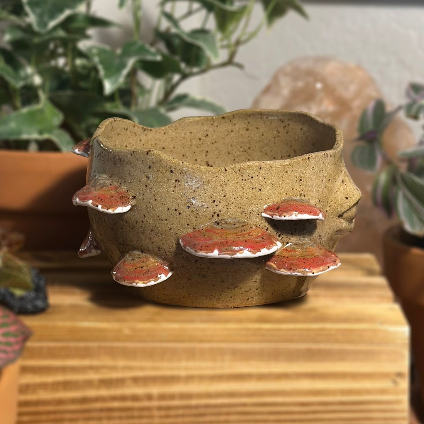 Reishi Myco Etherling