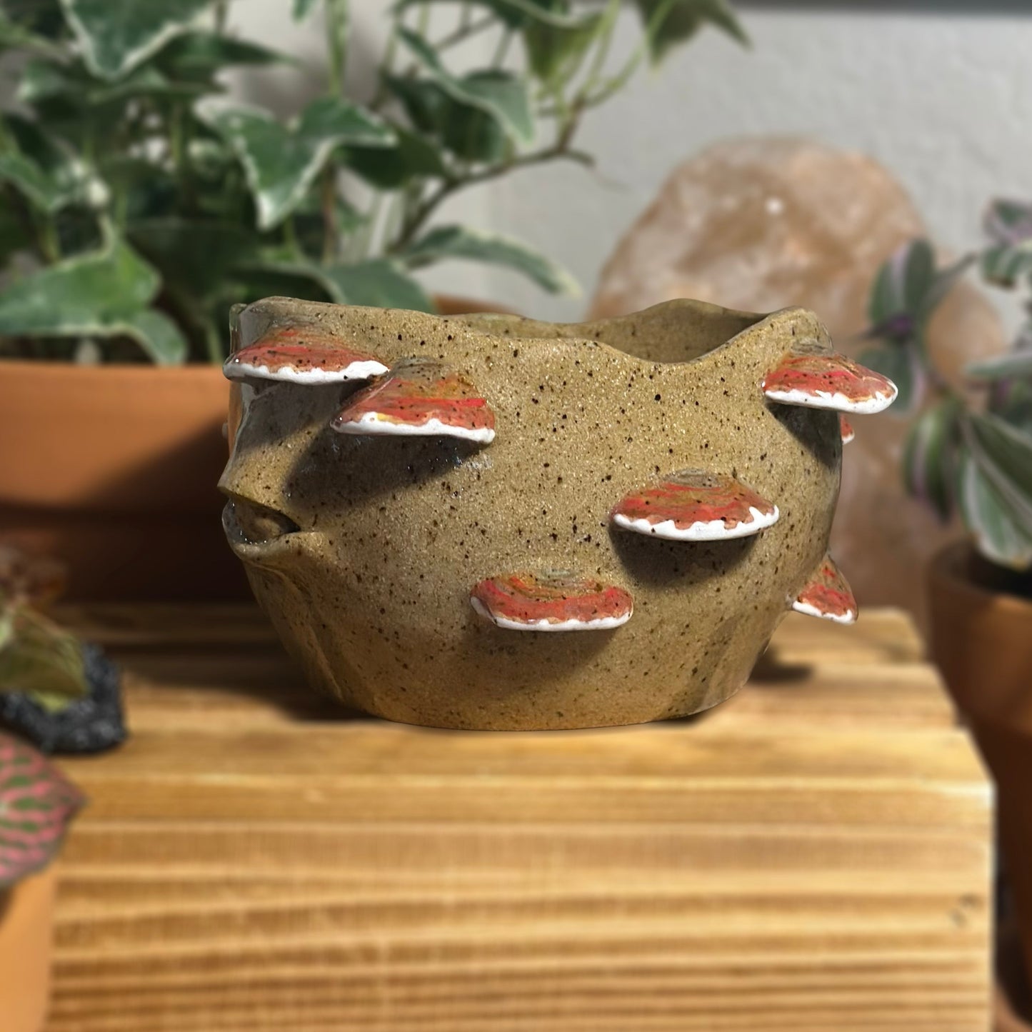 Reishi Myco Etherling