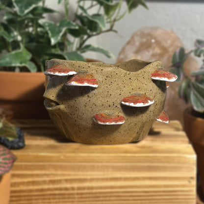 Reishi Myco Etherling