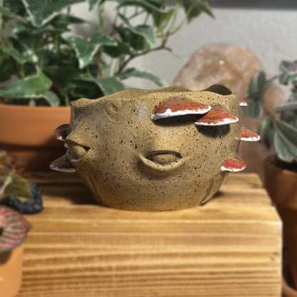 Reishi Myco Etherling