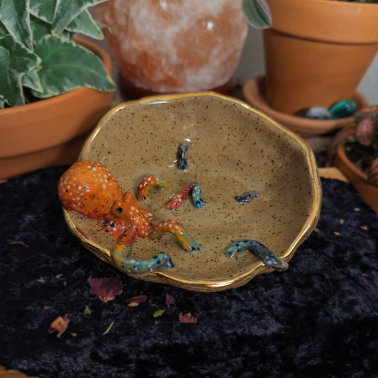 Octopus Bath - Dish