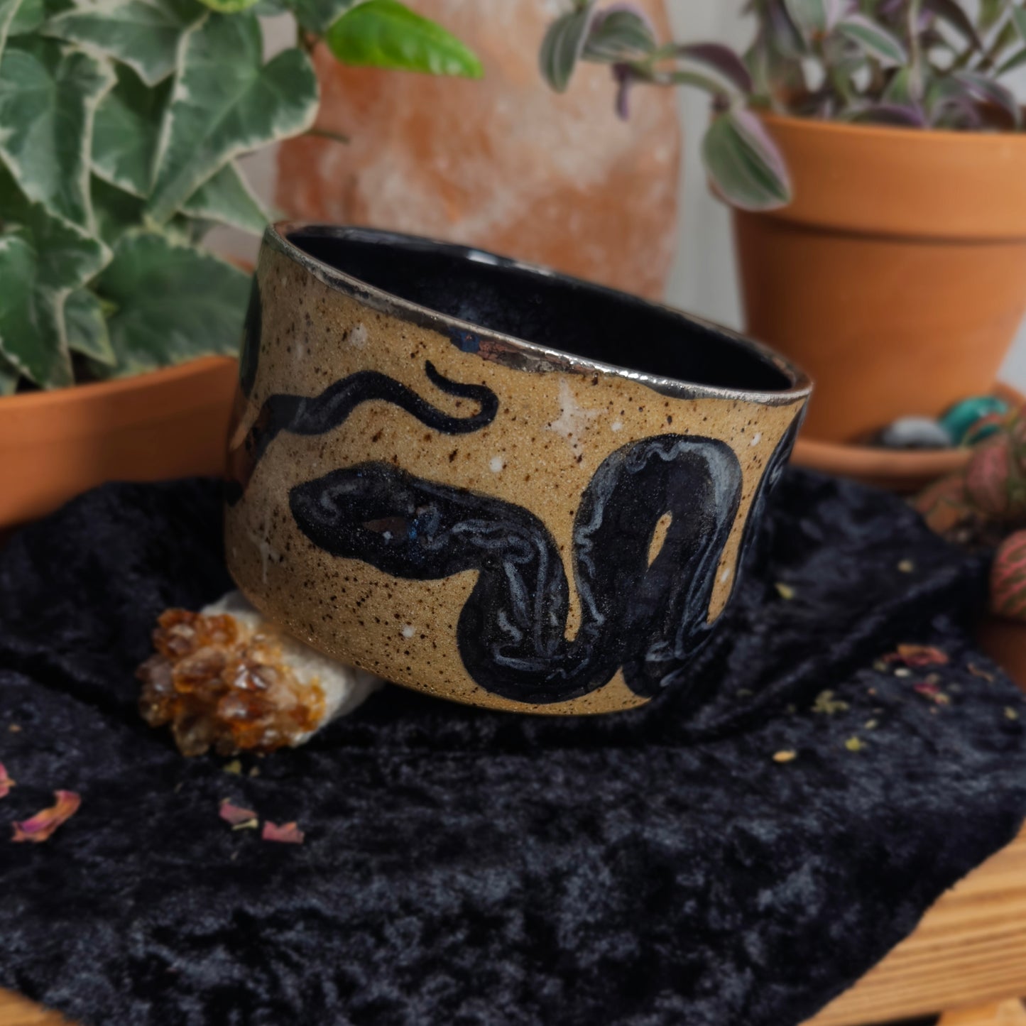 Snake - Vessel