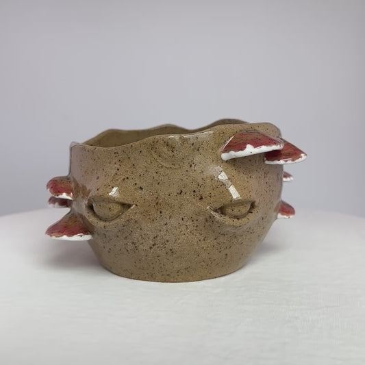 Reishi Myco Etherling